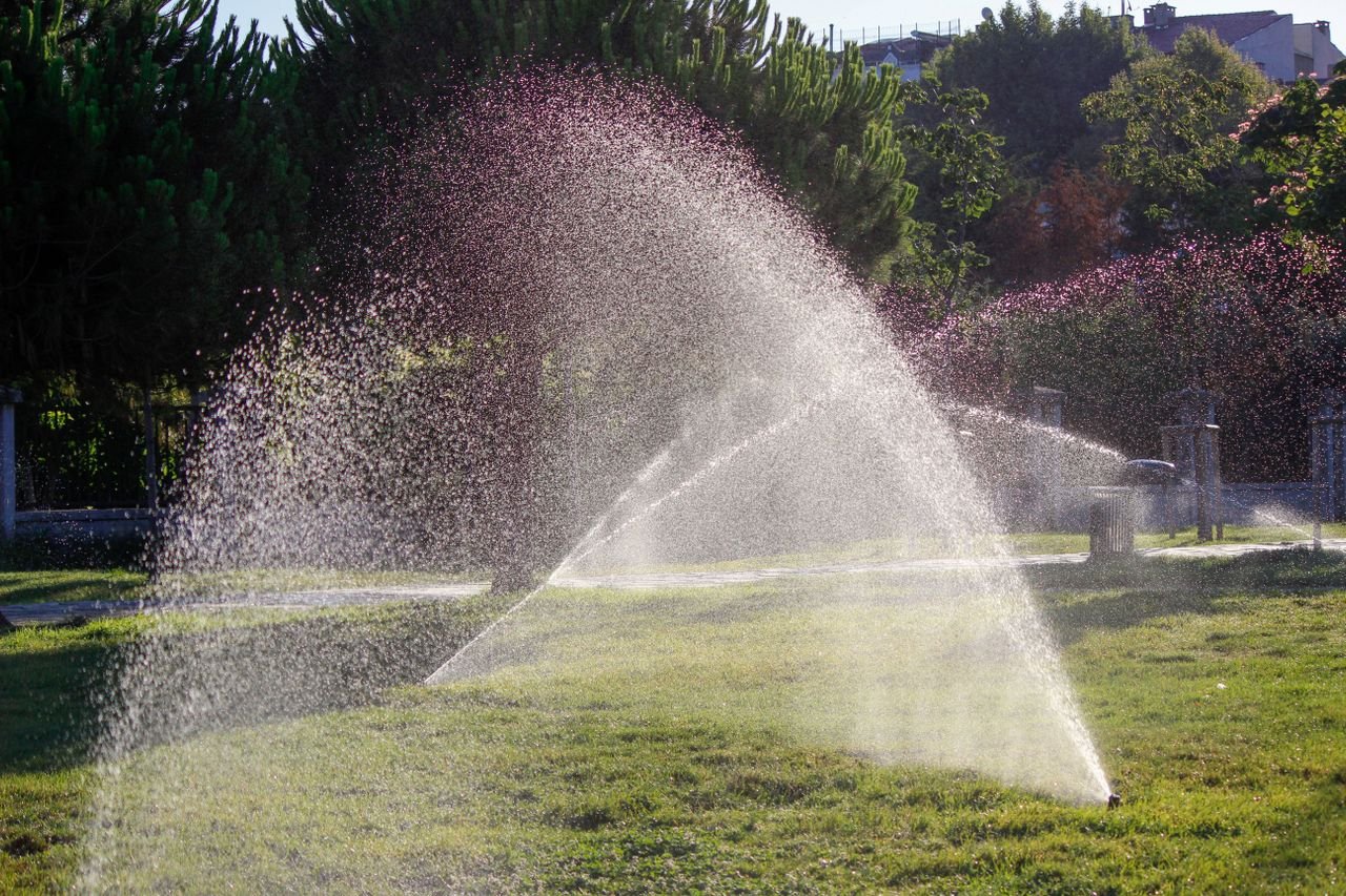 Professional installing drip irrigation system pipes and emitters for garden plants and flower beds