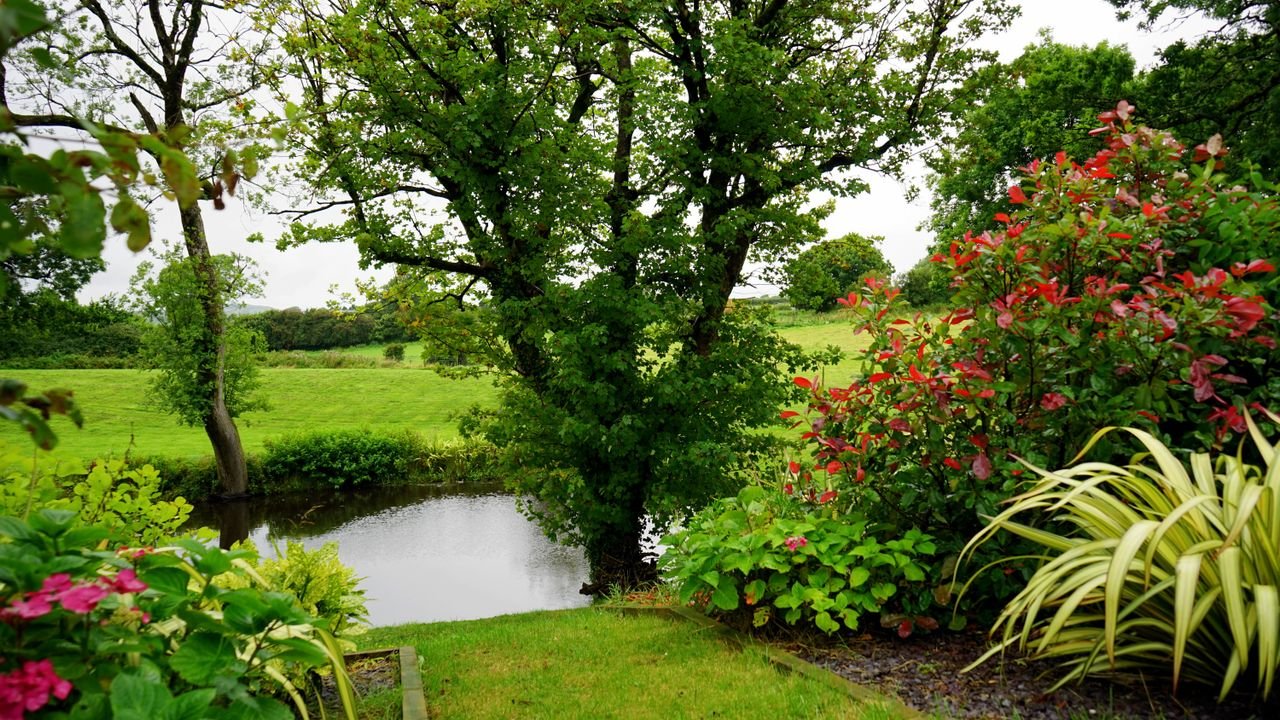 Expert gardeners installing colorful flower beds, ornamental shrubs, and fresh turf.